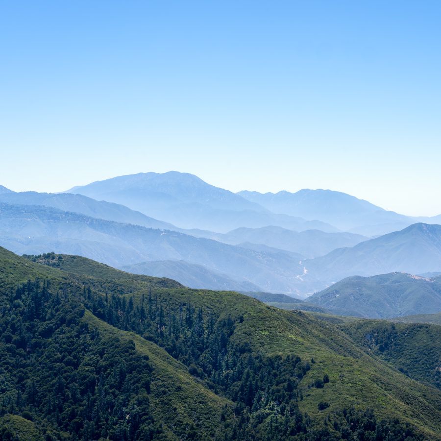 view of tree-covered mountains