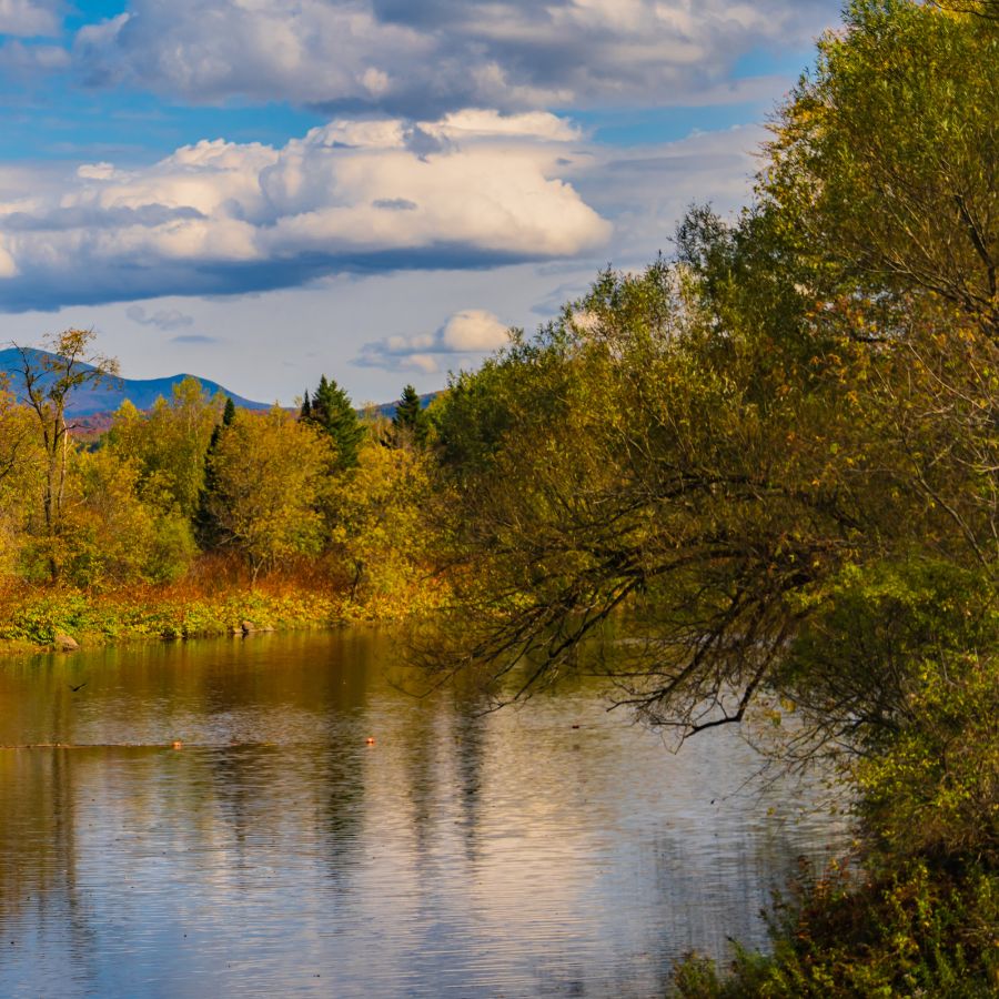 river with trees on the banks