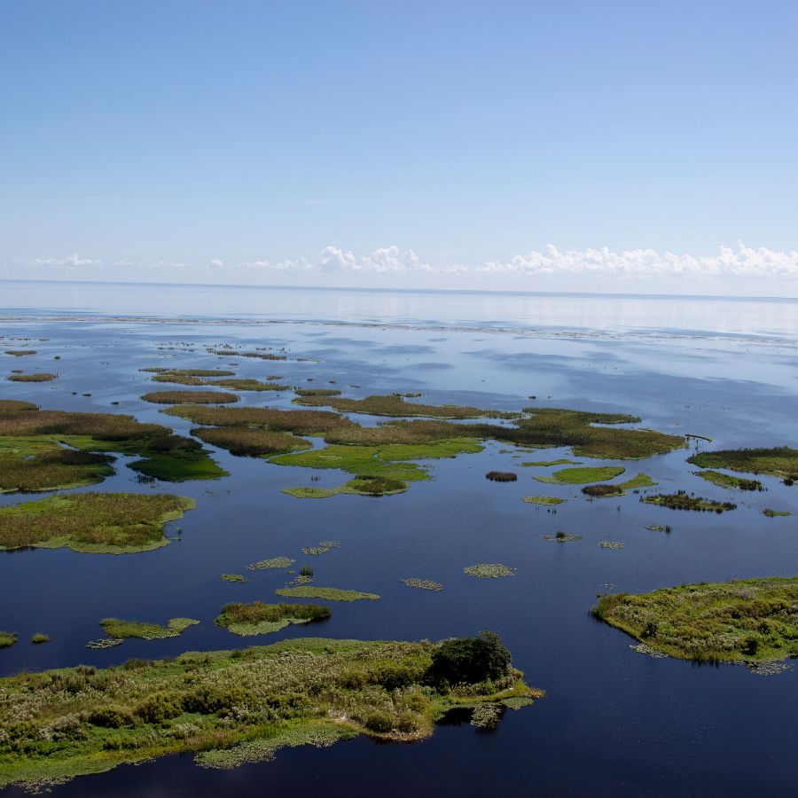 aerial view of a lake and its islands