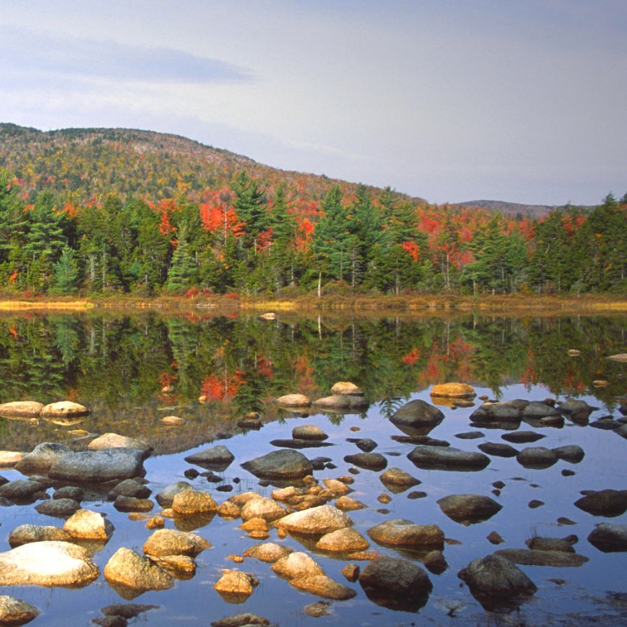 stony banks on a river