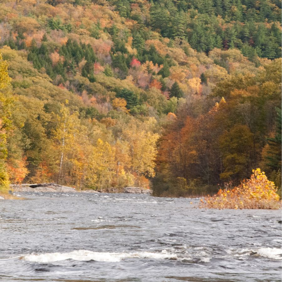 river with grass and trees on the banks