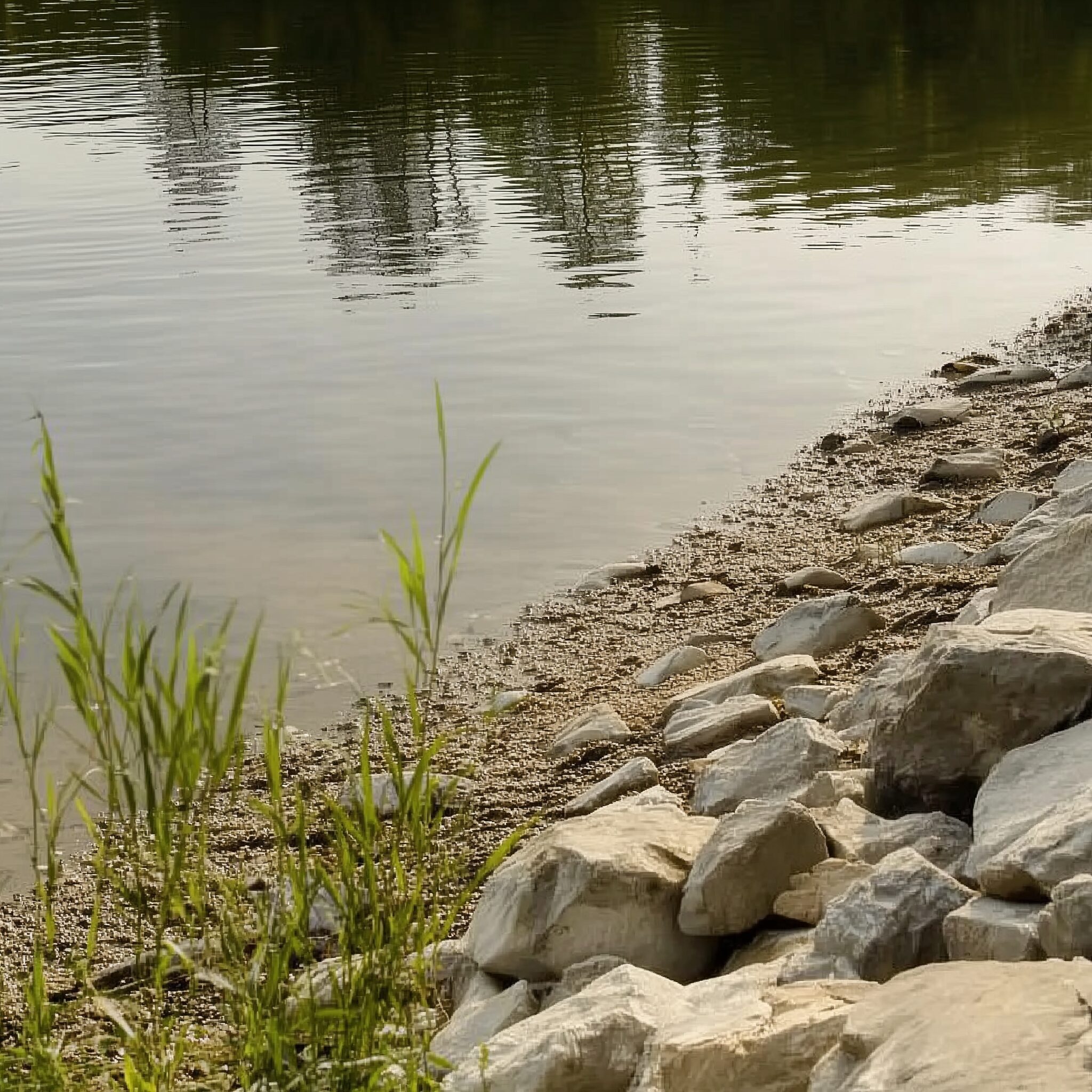 The West Fork White River near Martinsville Indiana at low water