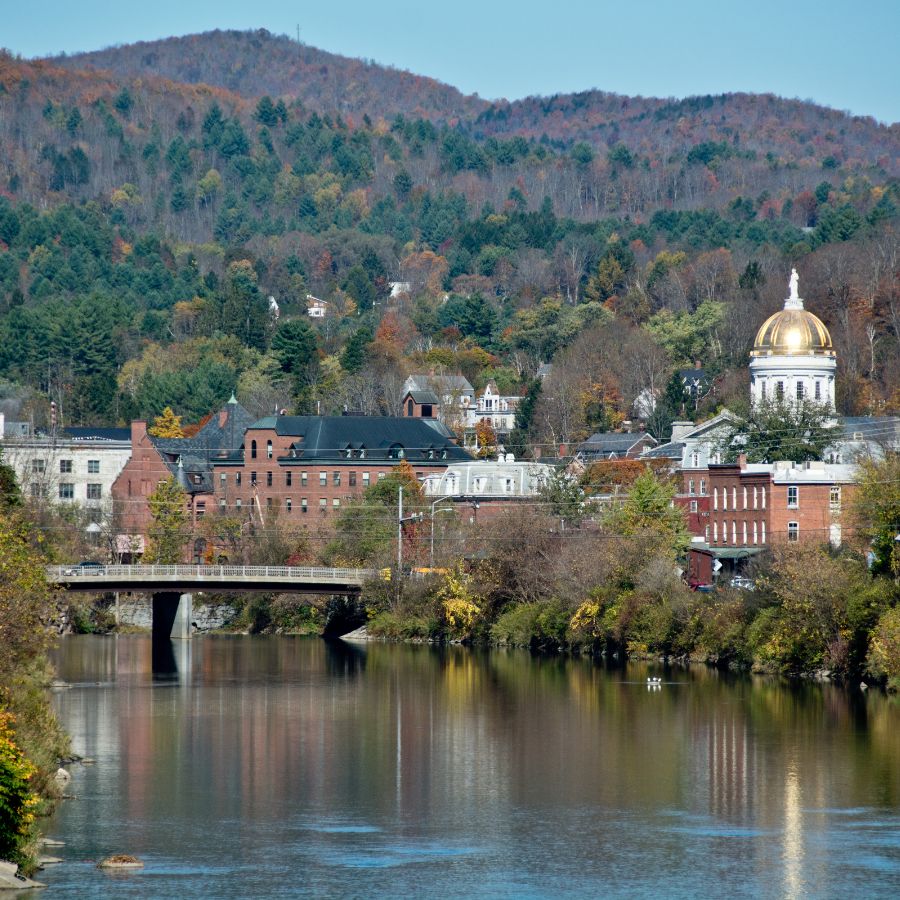 river with buildings and a bridge