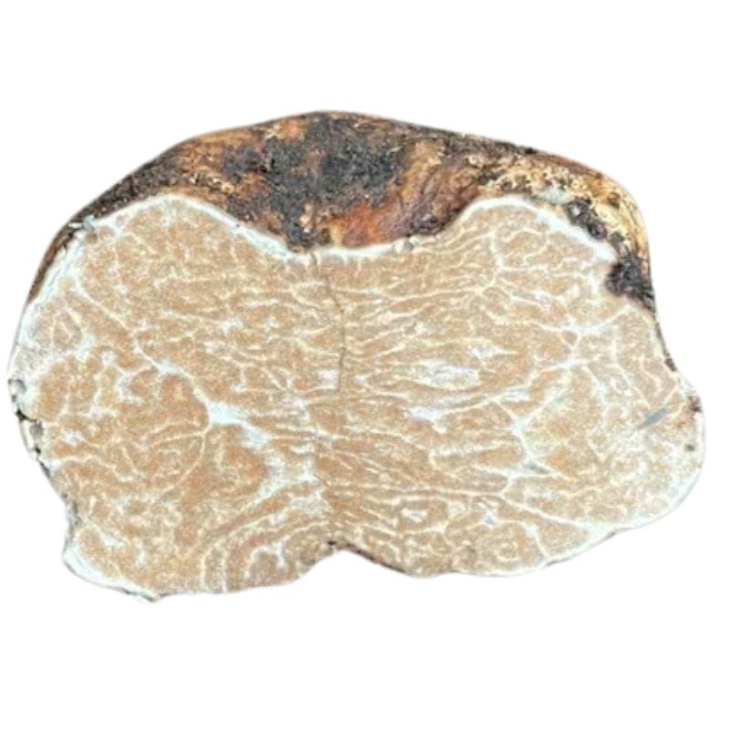 sliced Oregon Winter White Truffle