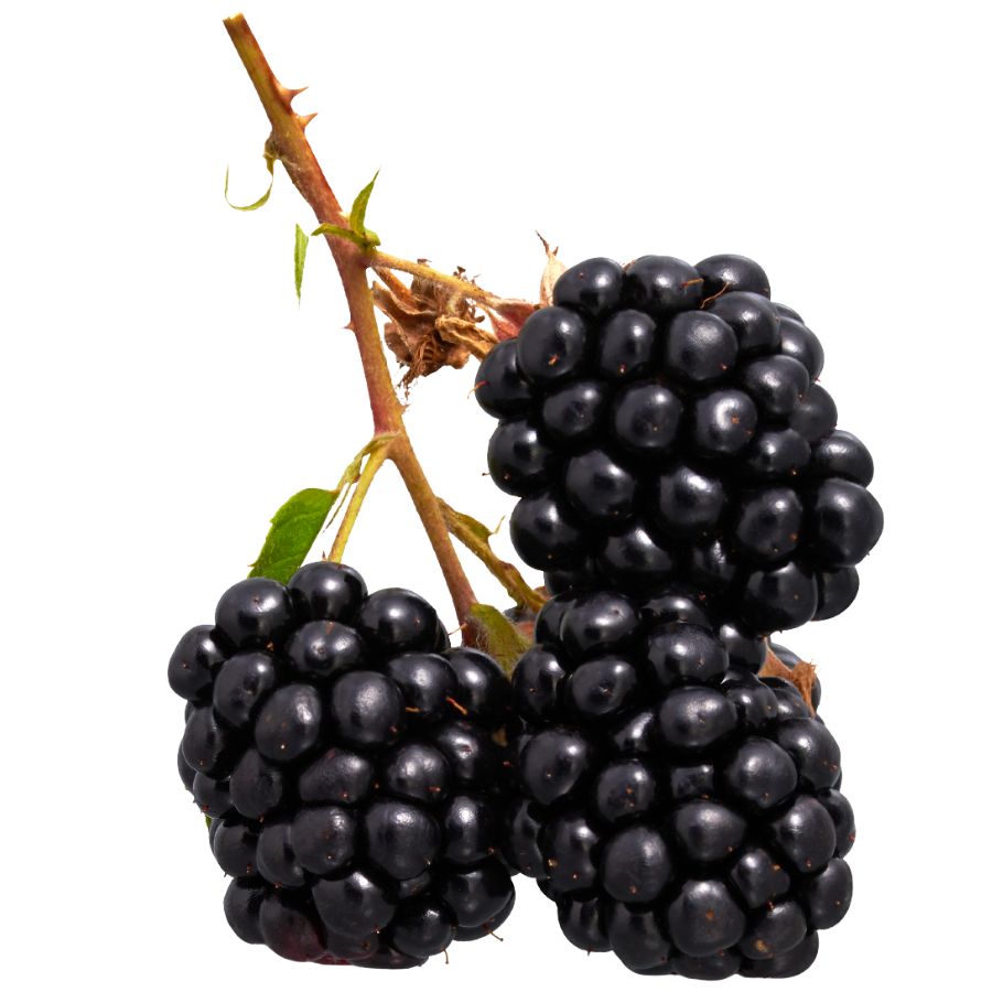 three blackberries