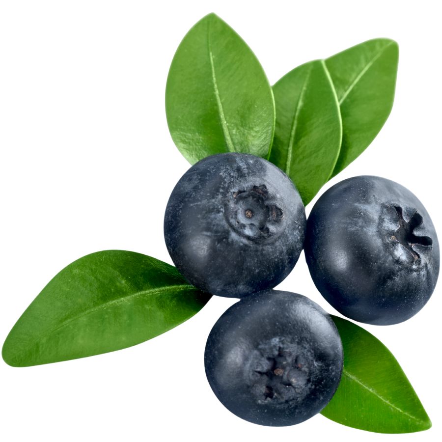 three blueberries
