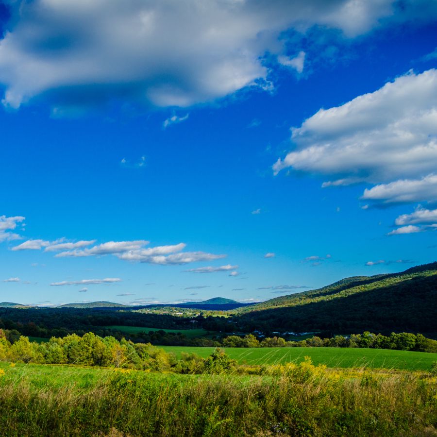 grassy plain and mountains