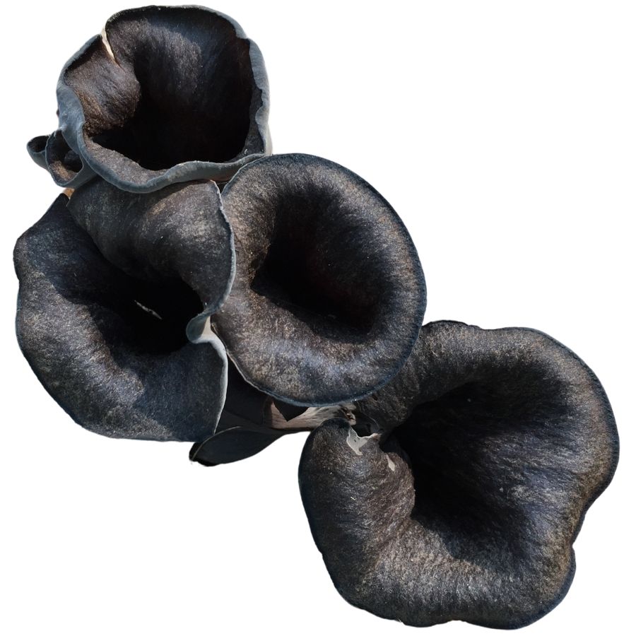 four black trumpet mushrooms