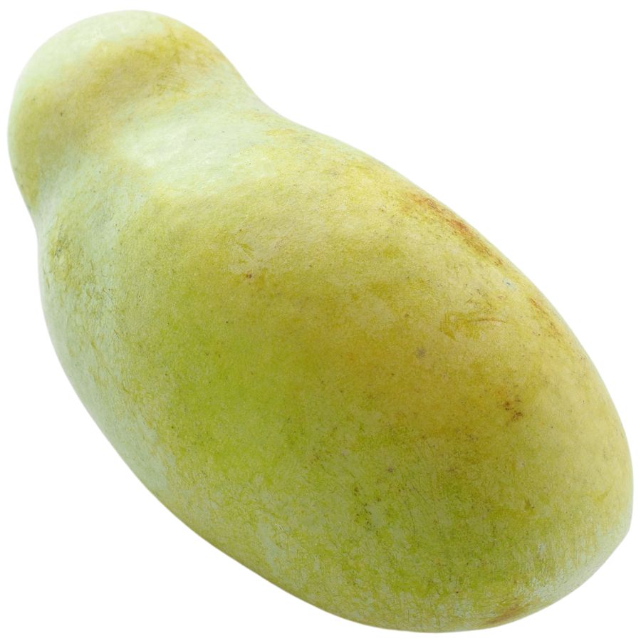 pale green pawpaw fruit
