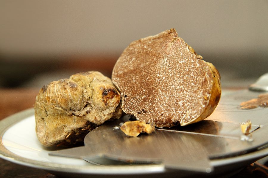 Sliced truffle on slicer