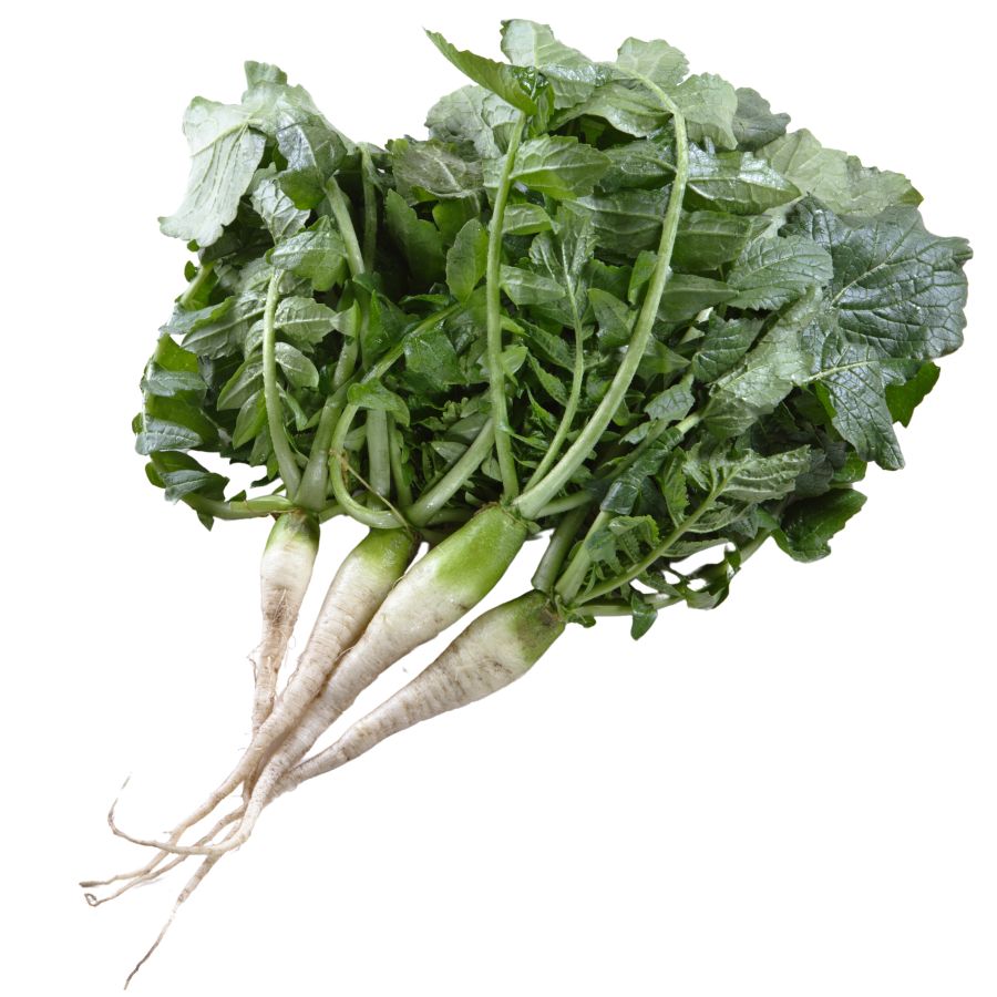 white wild radishes with green leaves