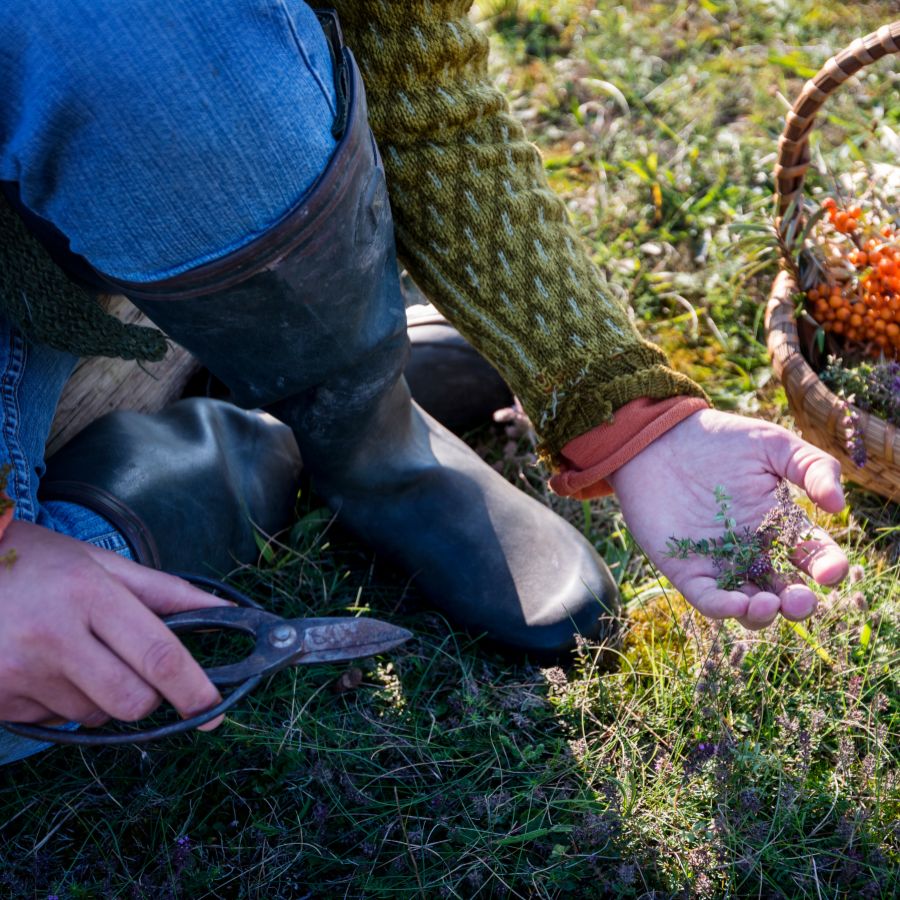 forager holding a pair of scissors