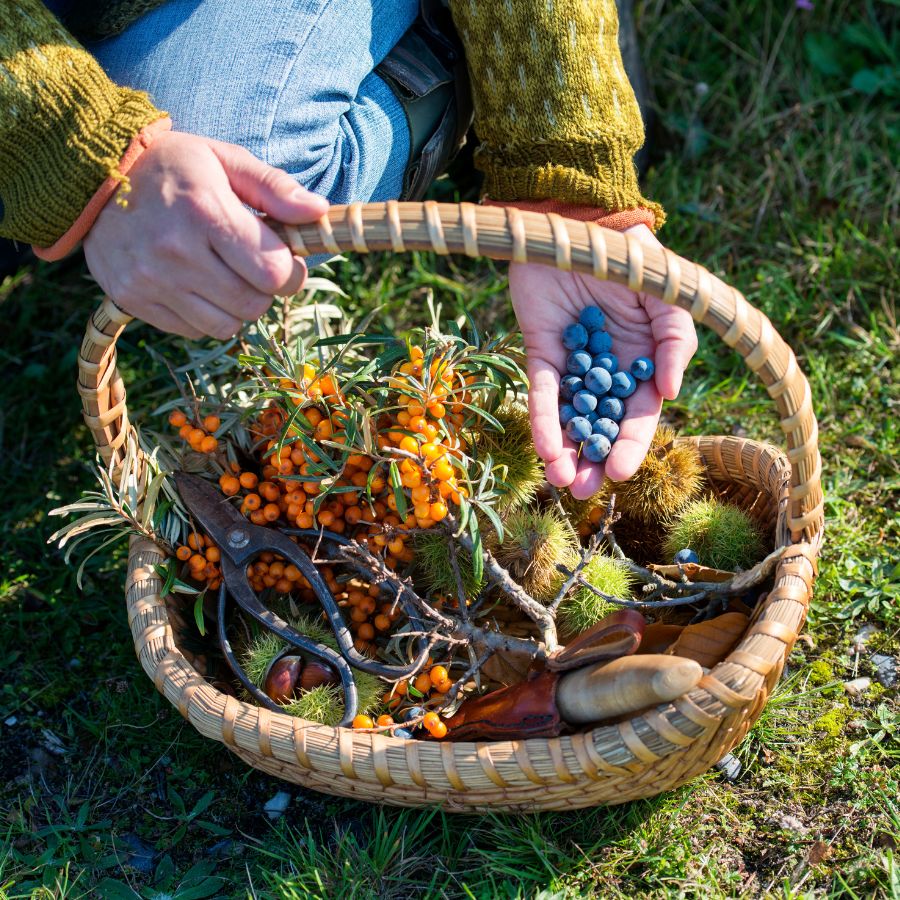 basket full of foraged plants, fruits, and more
