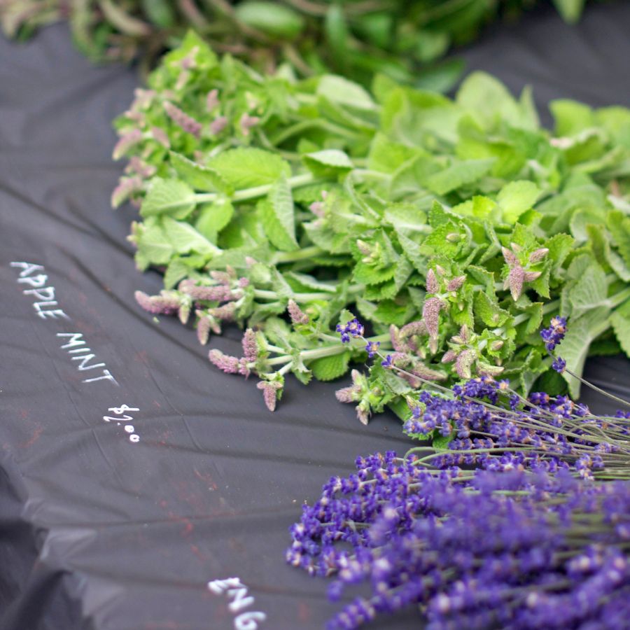 herbs laid out for sale