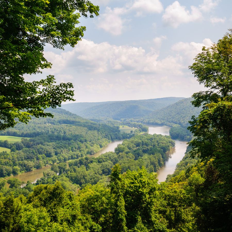 aerial view of a meandering river in a forest