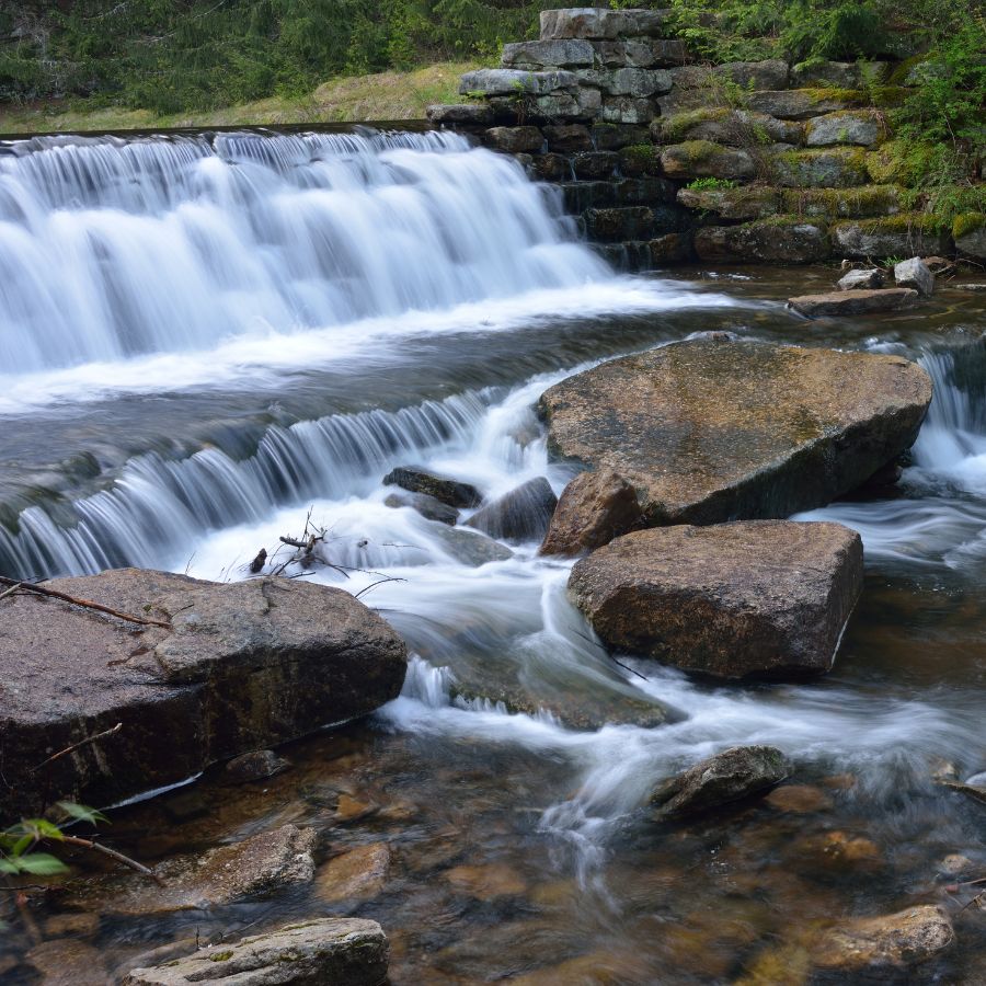 rocky waterfall in a forest
