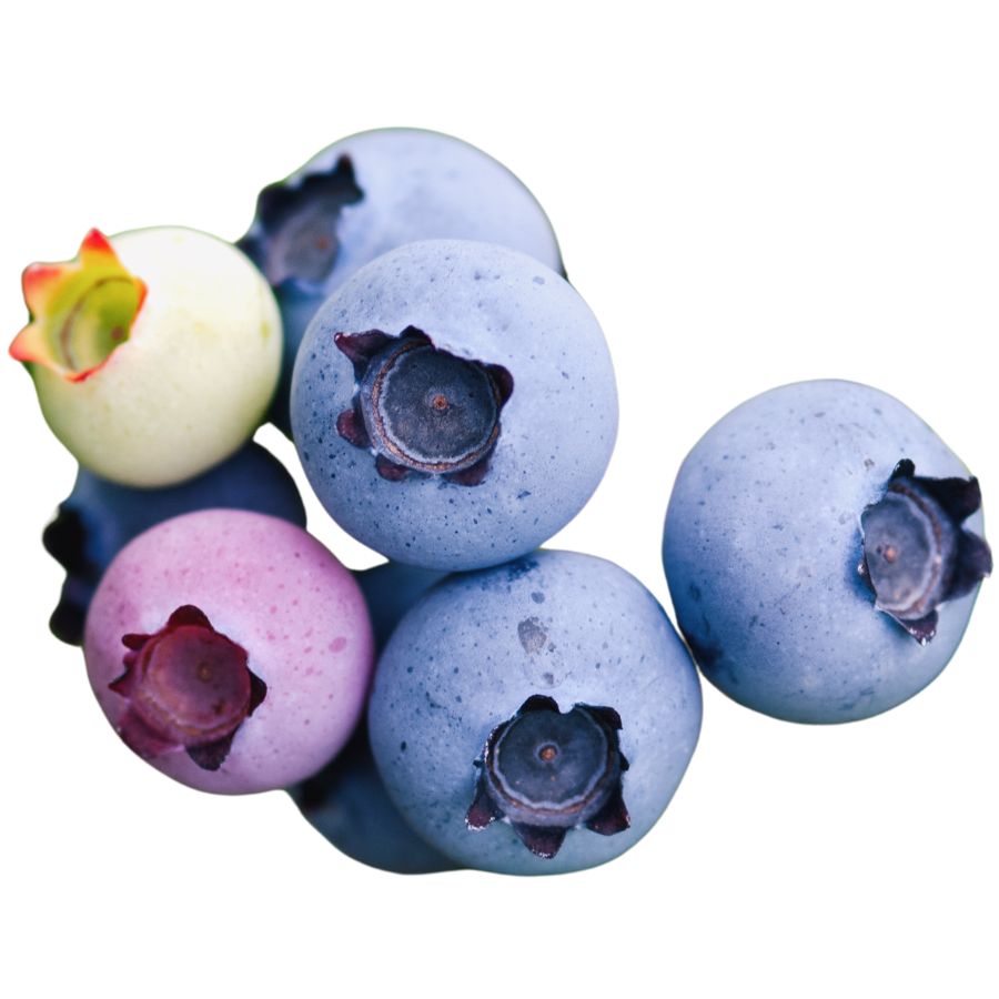 several blueberries