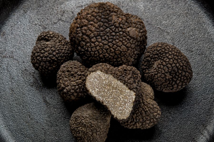 Black truffles close-up