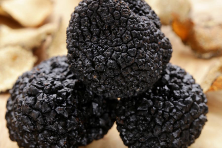 Close-up of black truffles