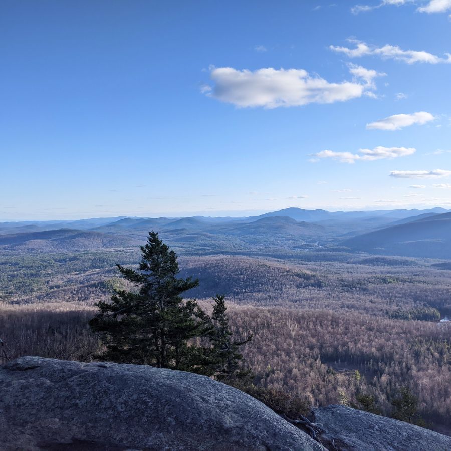 panoramic view of forests and hills
