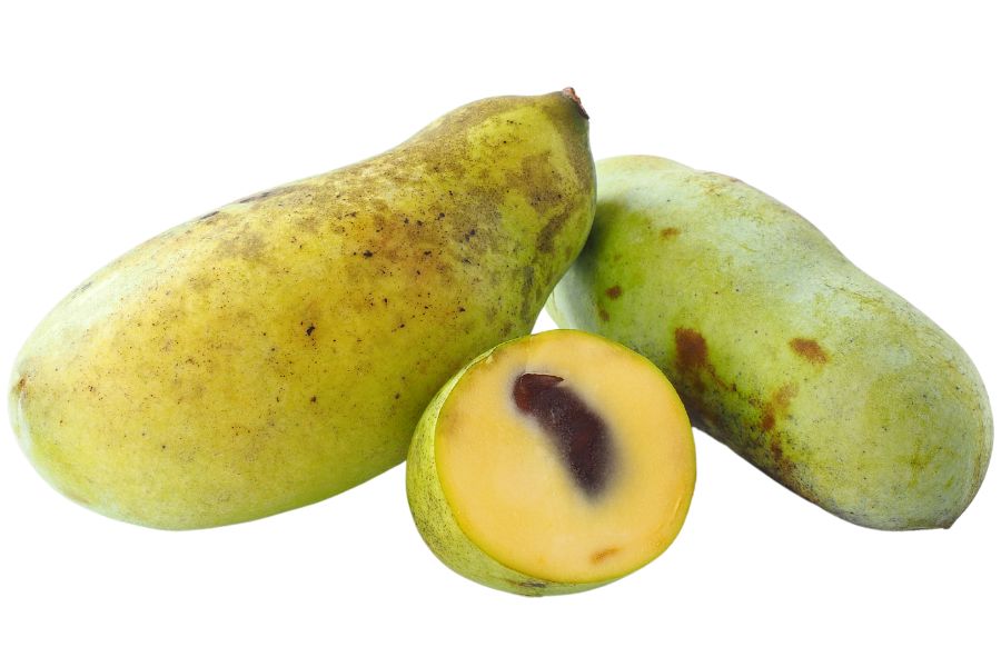three green pawpaw fruits