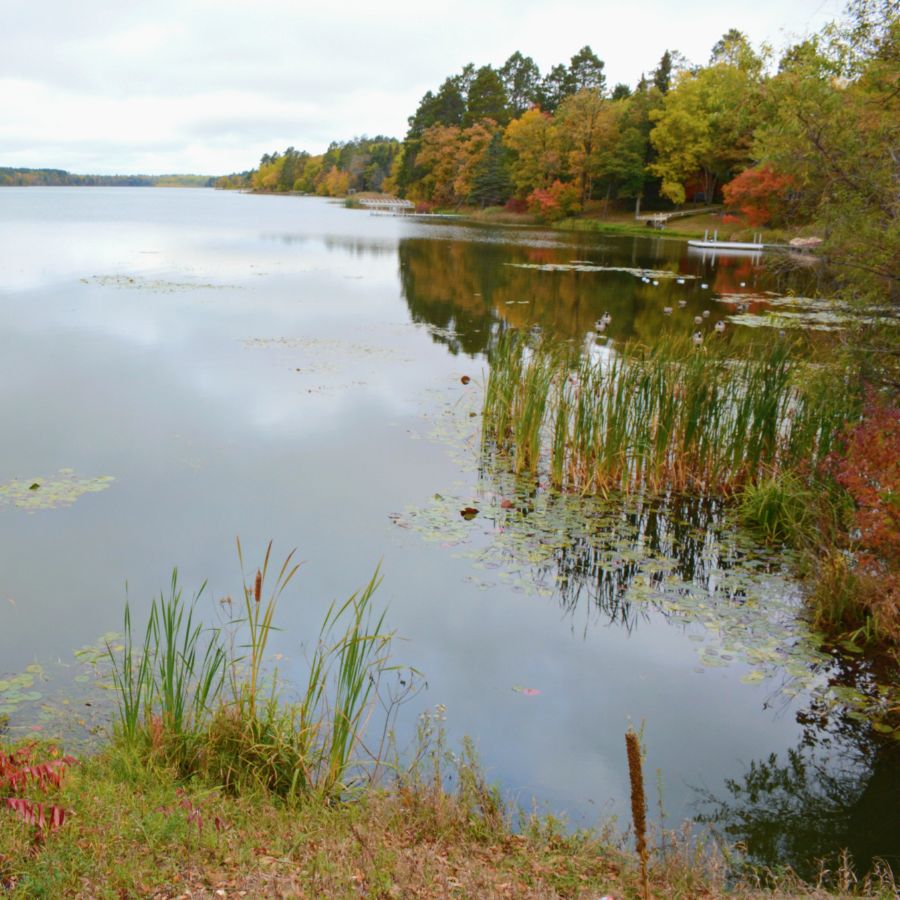 lake in Chippewa National Forest, Minnesota