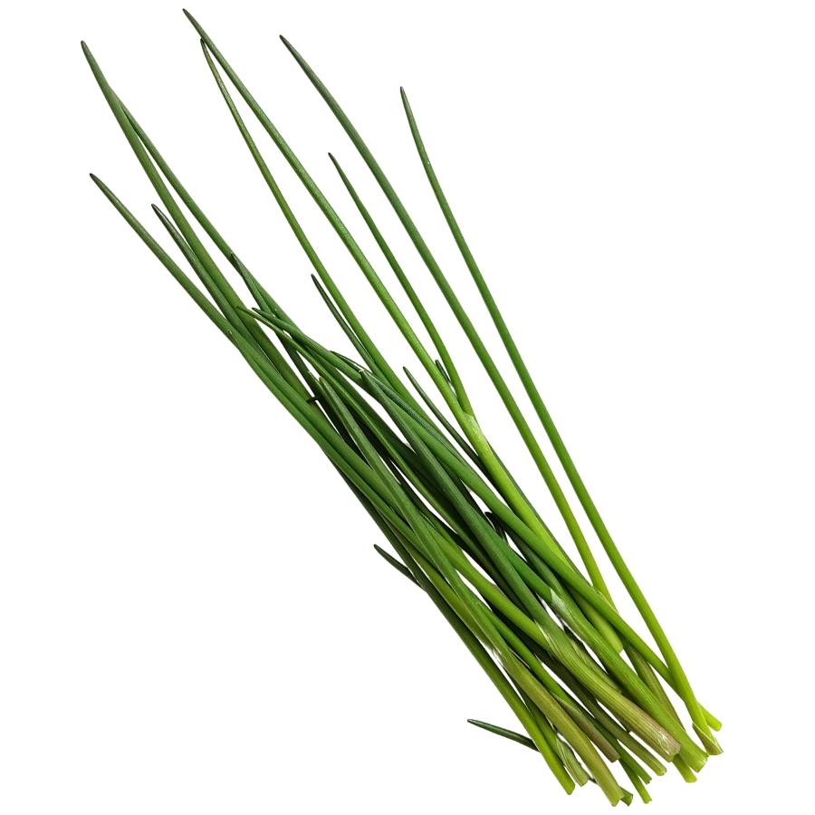 several green chives