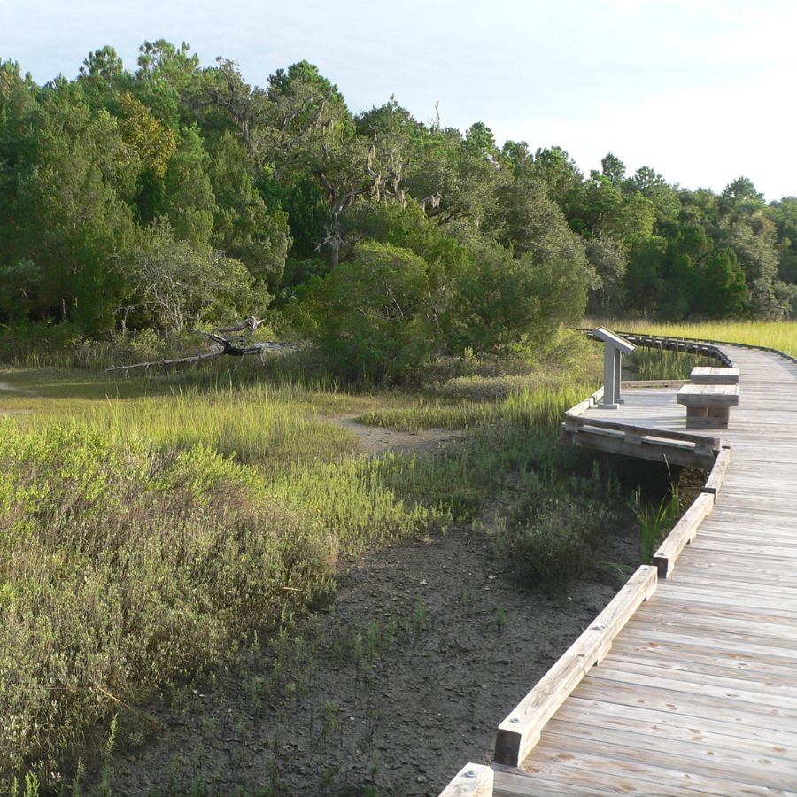 wooden walkway and woods in Francis Marion National Forest, South Carolina
