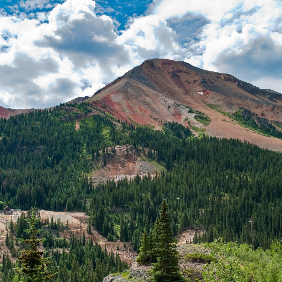 pine forests and mountain in San Juan National Forest, Colorado