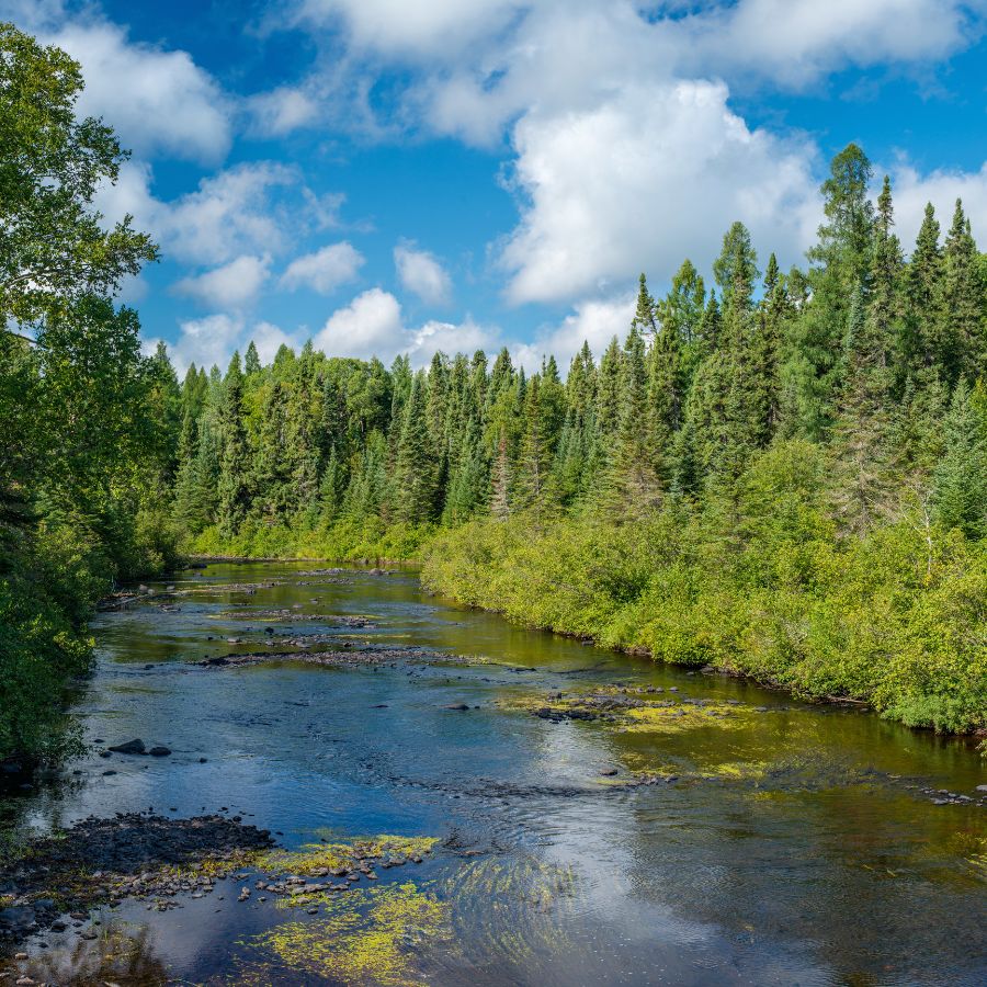 river in Superior National Forest, Minnesota