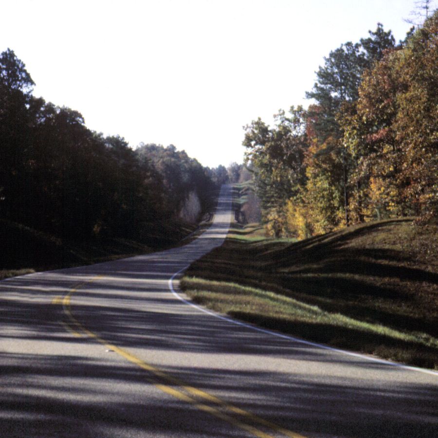 road going through the Talladega National Forest in Alabama