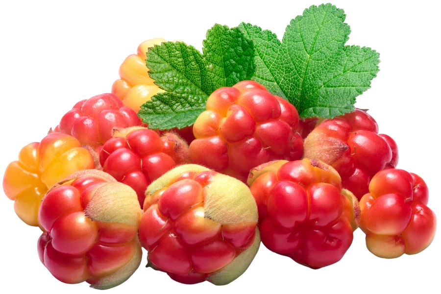 several cloudberries with green leaves