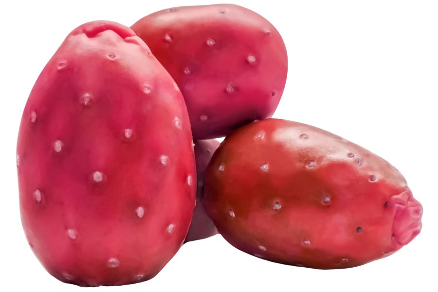 four red prairie prickly pear cactus fruits