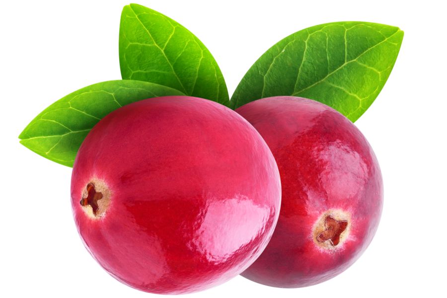 two red cranberries