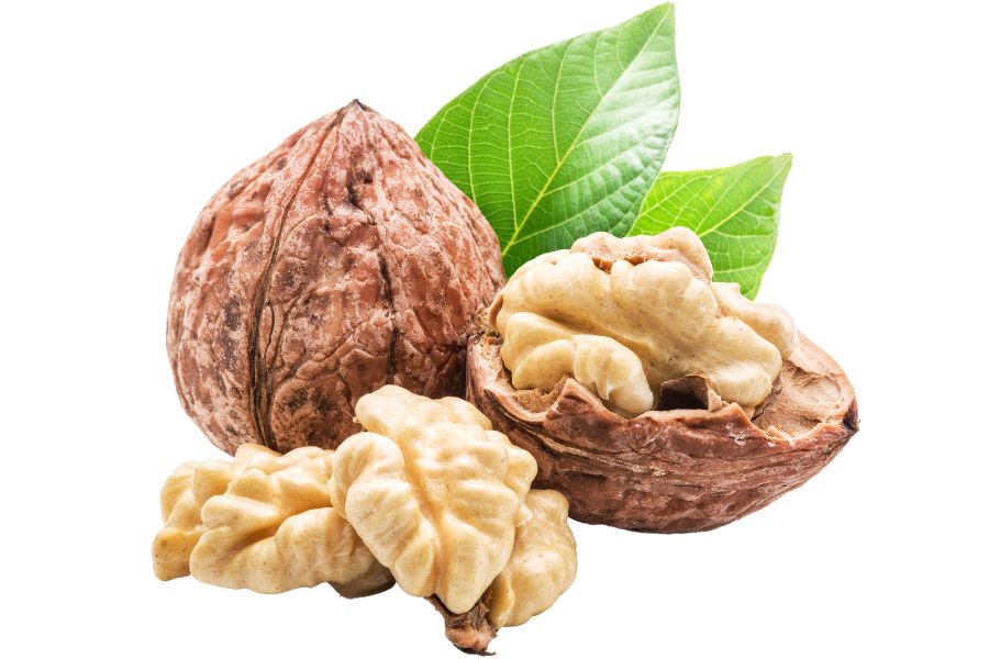 dried walnuts with green leaves