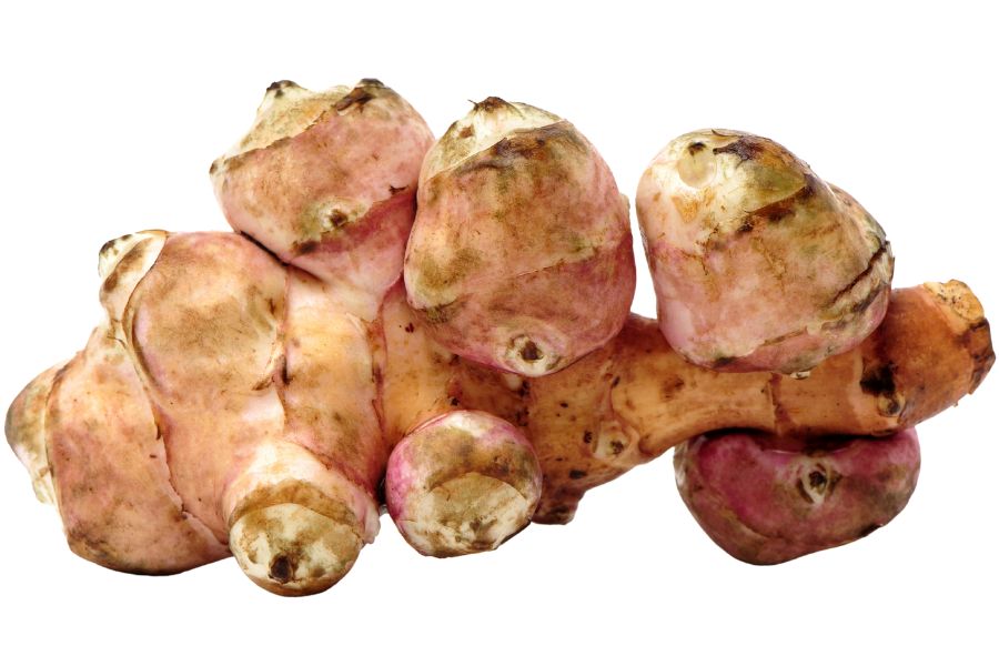 Jerusalem artichoke tuber
