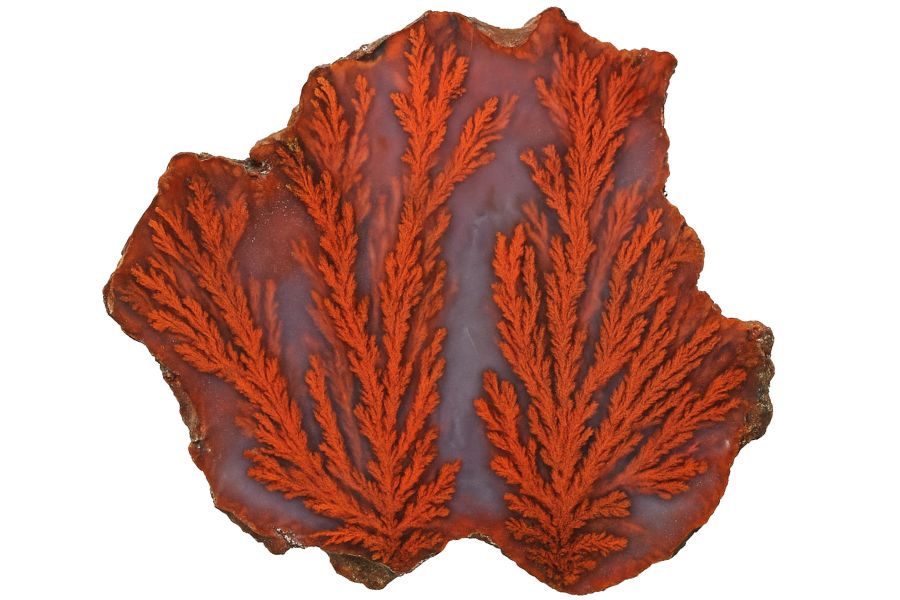 plume agate from Texas