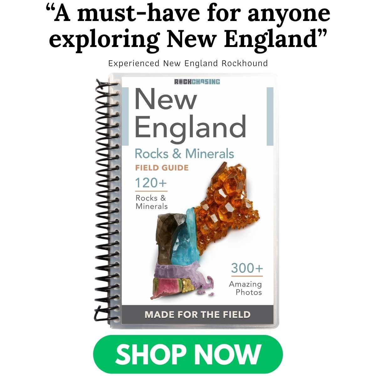 Cover of the New England Field Guide