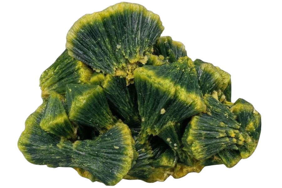 autunite crystals from Washington