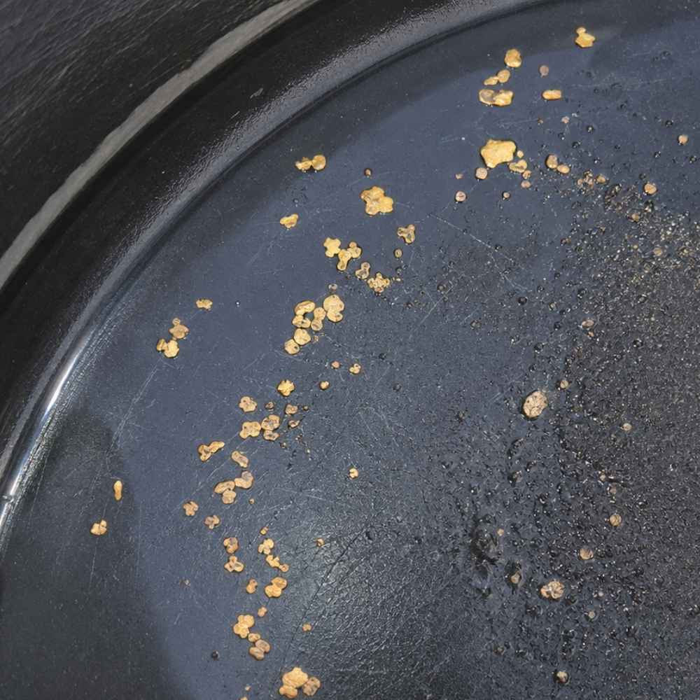 Fine gold flakes in a black gold pan like the flakes found in Iowa creeks