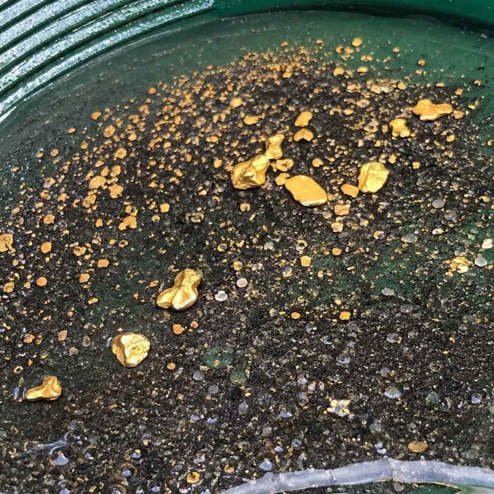 Gold flakes and pickers with black sand in a gold pan from Maine gravel