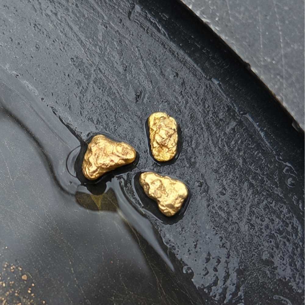 Gold pickers in a black gold pan like the pieces found in Iowa streams